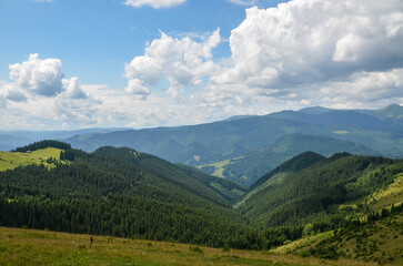 Naklejka premium Landscape with wooden shepherd's house in the distance surrounded rolling hills covered in lush green grass and dotted with coniferous trees. Carpathian Mountains, Ukraine
