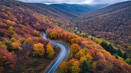 Fototapeta premium Winding Road Through Autumnal Forest in Mountain Valley