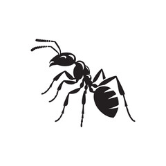 Ant silhouette illustration color Icon on White and black Vector Backgrounds.