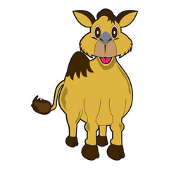 Cute Camel