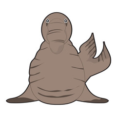 Cute Elephant Seal