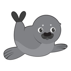 Cute Seal