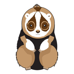 Cute Slow Loris