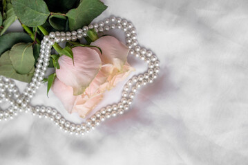 The branch of pink rose on white fabric background
