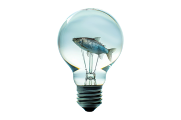 Fish in a Light Bulb