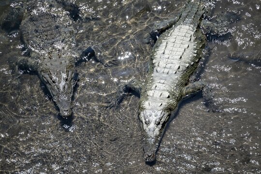 ibxmmw11072382.jpg