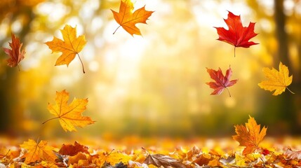 Autumn leaves background, autumn foliage, vibrant, vibrant, fall, nature, textured, pattern, red and orange