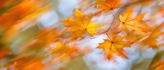 Golden Autumn Leaves with Blurred Background