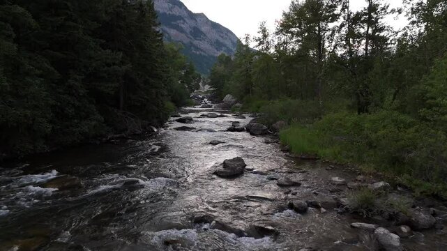River with boulders aerial shot flying over rapids and trout habitat along the Crowsnest River.
