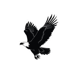 Fototapeta premium Black and white illustration of a majestic eagle in flight with wings spread wide.