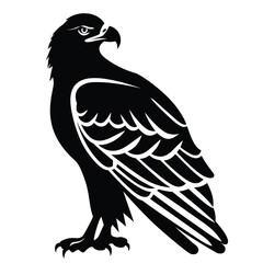 Obraz premium Silhouette of a majestic eagle standing tall with detailed feathers.