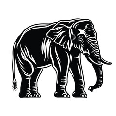 Fototapeta premium Black and white illustration of a majestic elephant standing proudly.