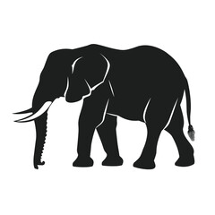 Fototapeta premium Silhouette of an African elephant with tusks walking.