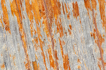 Close-Up of Weathered Wood Grain with Rustic Textures and Natural Colors