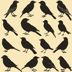 Fototapeta premium Silhouettes of various bird species on a light background, showcasing diverse bird shapes and postures.