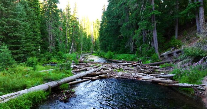 Aerial Cinematic Forest River Flowing Water
