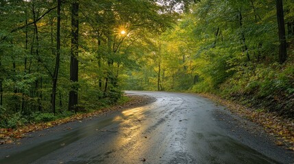 Obraz premium Sunlit Road Through Autumn Forest After Rain