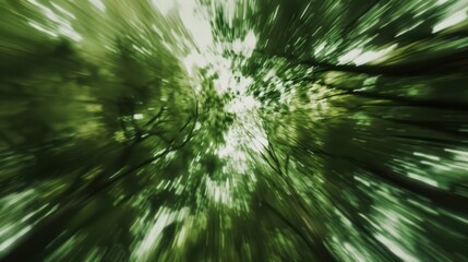 Obraz premium Green Forest Canopy: An Abstract View