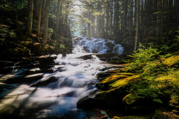 waterfall in the woods