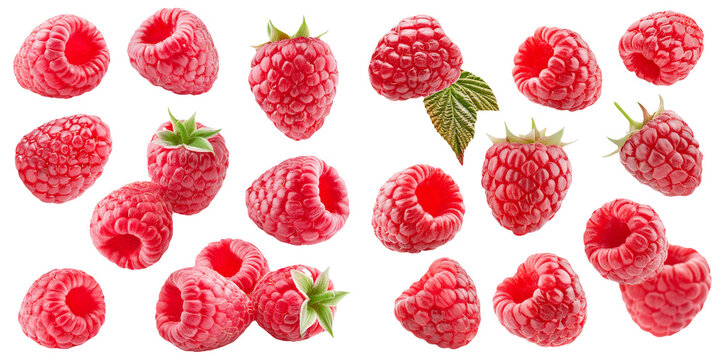 Collection of fresh raspberries in various forms isolated on transparent background
