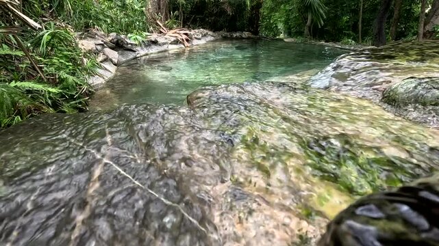 manantial de aguas cristalinas en selva tropical