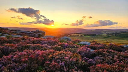Stunning sunset over Hope Valley from Surprise View, showcasing Millstone Edge and Owler Tor, with vibrant heather in bloom creating a picturesque Peak District landscape.