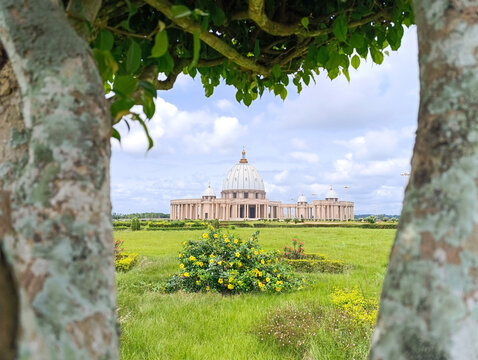 view of the Basilica of Our Lady of Peace of Yamoussoukro between the branches of a tree under a blue sky, Ivory Coast