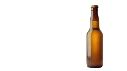 Beer bottle isolated on white background