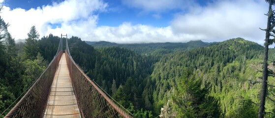 Obraz premium Wooden Suspension Bridge Over Lush Green Forest