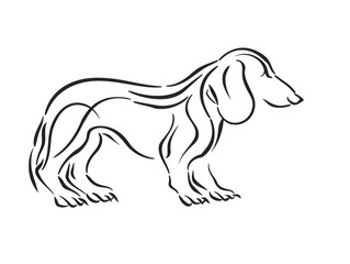Fototapeta premium Line Art Dachshund Silhouette.