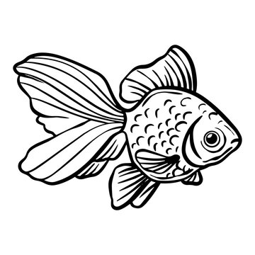cometa goldfish vector line art