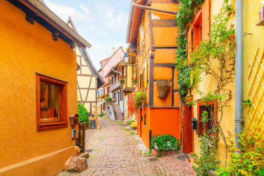 Colorful half-timbered buildings in a narrow cobblestone alley in the historic old town district of the touristic village of Eguisheim, France, in the Alsace region.