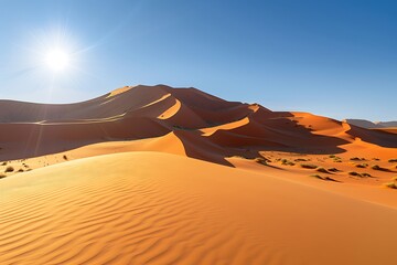 Beautiful morning blue sky in the gold sand deserts, sunlight, no clouds.