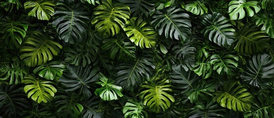 Lush Green Tropical Leaves Wall