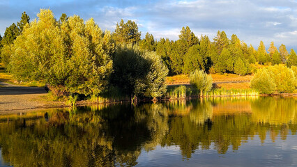 Obraz premium Late summer landscape by a reservoir