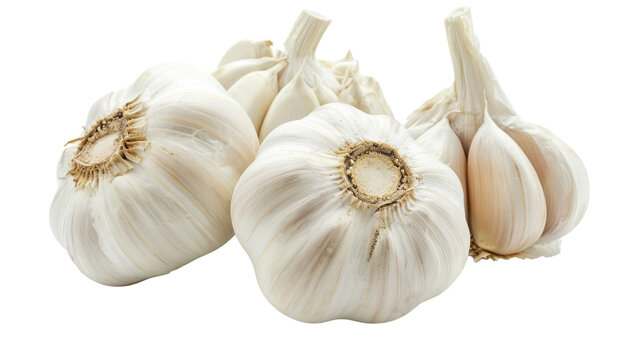 Garlic isolated on white background