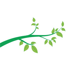 Horizontal banner with tree branch and green leaf, isolated on white. For background, footer, or nature design