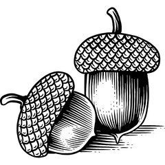 Hand drawn Acorn Oak Nut Autumn Sketch Illustration Engraving Woodcut Vintage Style
