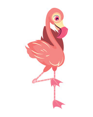 flemish tropical bird