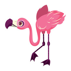 flemish bird animal cartoon