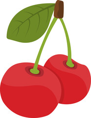 Fresh fruit cherry