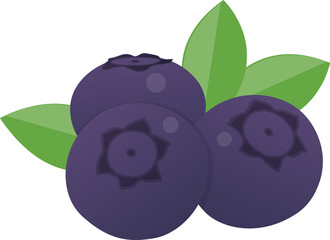 Fresh fruit blueberry