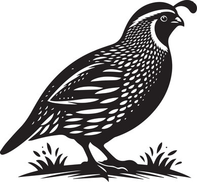 recommend clip art: quail bird black silhouette vector, silhouette vector art illustration