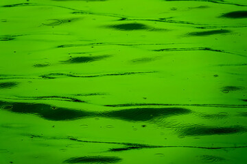 A green body of water with ripples and waves