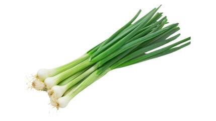 Young green onion isolated on white background