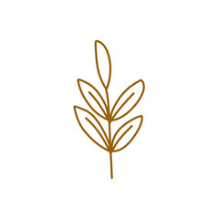brown leaf outline