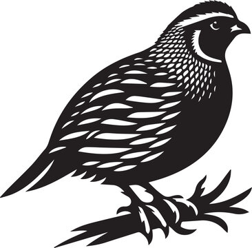 recommend clip art: quail bird black silhouette vector, silhouette vector art illustration
