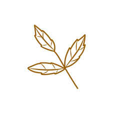 brown leaf outline