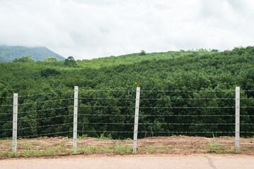 Barbed wire fence at a field