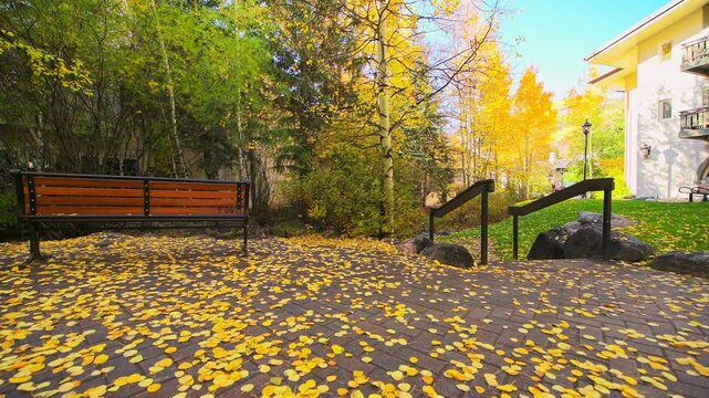 Vail Colorado ski resort in autumn fall with aspen tree yellow leaves fallen on ground in park square by residential apartment buildings with bench